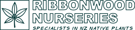 Ribbonwood Nurseries Ltd